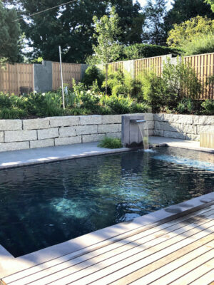 Schwimmteich / Biotop